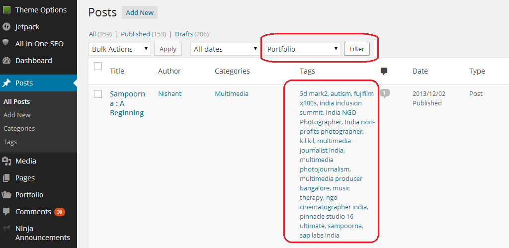 Filter WordPress Posts Under Portfolio Category
